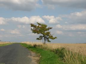 Greenwich Meridian Marker; England; Hertfordshire; Between Buckland & Barkway